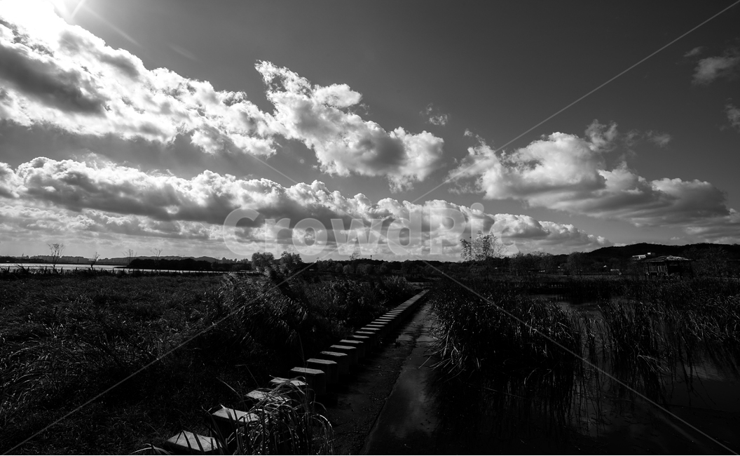 호수,하늘,구름,가을,나무,식물,수변,자연,풍경,nature,landscape,흑백,모노톤,monochrome,black and white,weather,날씨,cumulus,적운,outdoors,옥외,sky,cloud