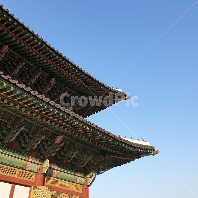 창덕궁,궁궐,조선시대,문화재,문화유산,하늘,전통,한국전통