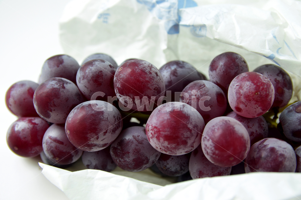포도,거봉,거봉포도,열매,포도열매,과일,디저트,후식,grape,fruit,dessert,음식,식재료,요리,food,cook,meal,dishes,food reserves,과일,열매,fruit