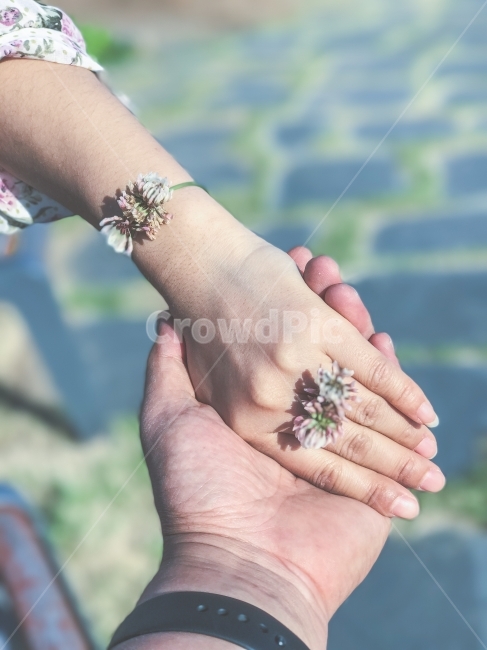 사람,손,풀꽃반지,토끼풀,사랑,연애,약속,반지,시계,human,hands,ring,watch,flower,love,promise,꽃,flower,사람,인물,인간,human,person,신체일부,몸,body,연인,커플,사랑,lover,couple,감성,sensible,feeling