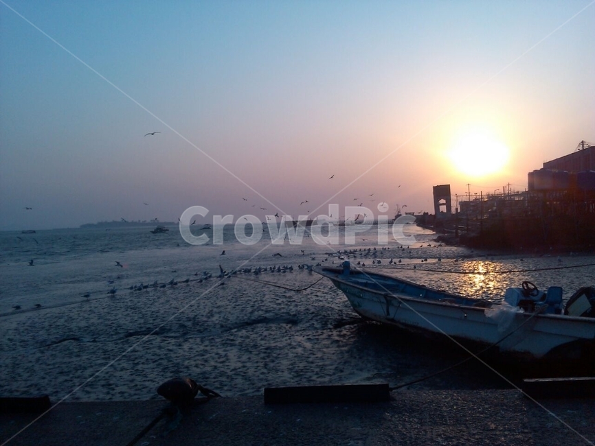 바다,노을,배,갈매기,갯벌,석양,산업,industry,industrial,어업,fishery,fishing industry