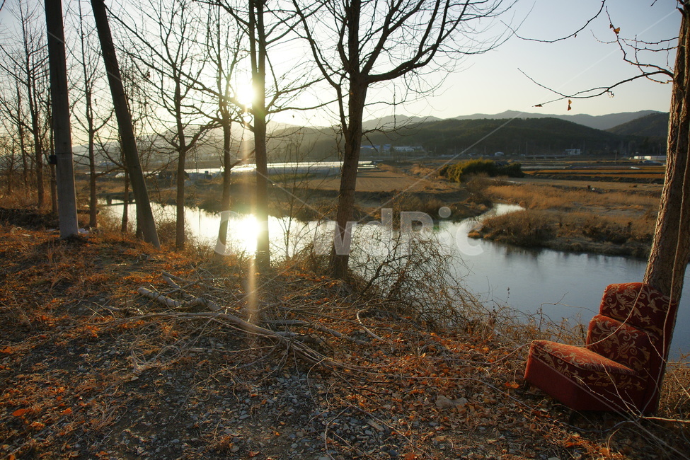 겨울,풍경,시골,빛,강,나무,가지,자연,풍경,nature,landscape,outdoors,옥외,land,땅,light,flare,플레어