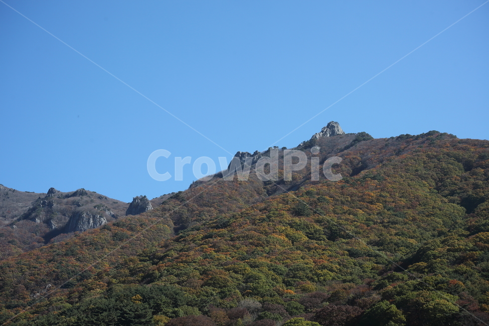 재약산,가을,바위,mountain,자연풍경,영남알프스,자연,풍경,nature,landscape,outdoors,옥외,hill,언덕