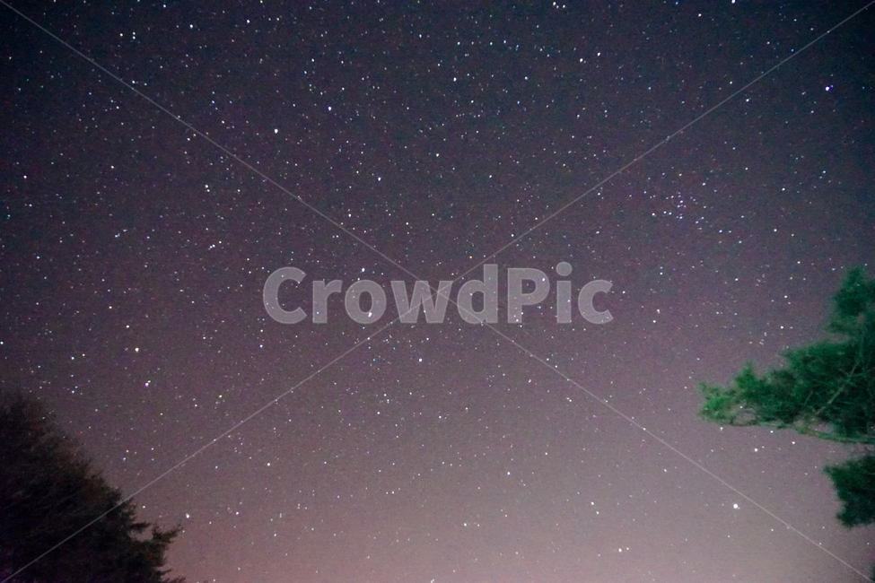 나무,별,star,하늘,sky,밤,자연,풍경,nature,landscape,야경,밤,nightscape,night,outdoors,옥외,universe,우주,astronomy,천문학,outer space,대기권 밖,starry sky,별이 빛나는 하늘,space
