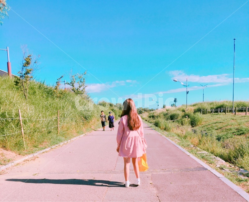 사람,여자,뒷태,풍경,몽환적,컬러,색감,sky,구름,color,인간,하늘공원,갈대,도로,그림자,뒷태여신,가을,여름,계절,핑크,푸른,풋풋