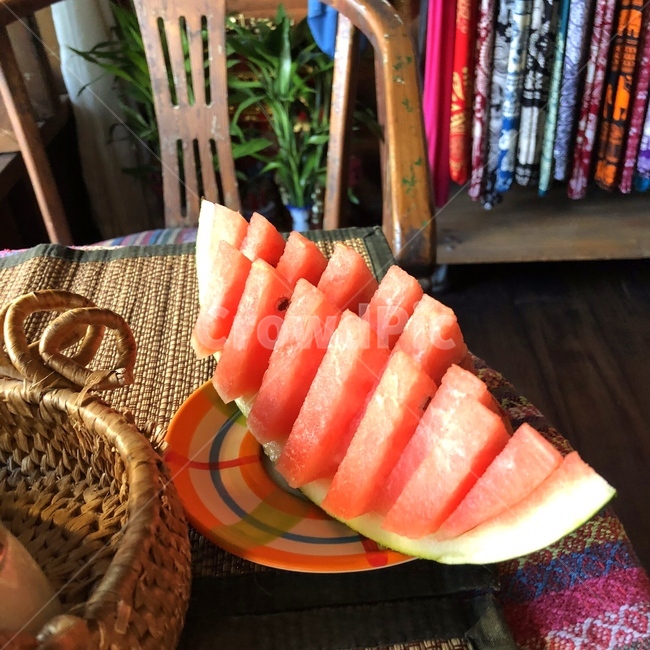 수박,과일,음식,채소,여름,디저트,plant