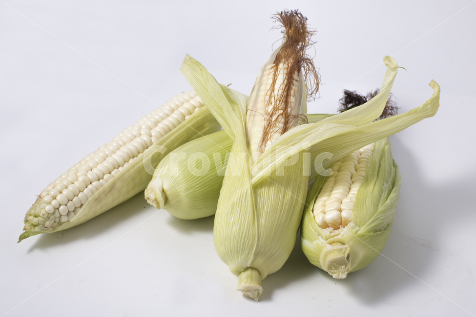 옥수수,식물,알맹이,노란색,찰옥수수,옥수수수염,콘,간식,팝콘,음식,식재료,요리,food,cook,meal,dishes,food reserves