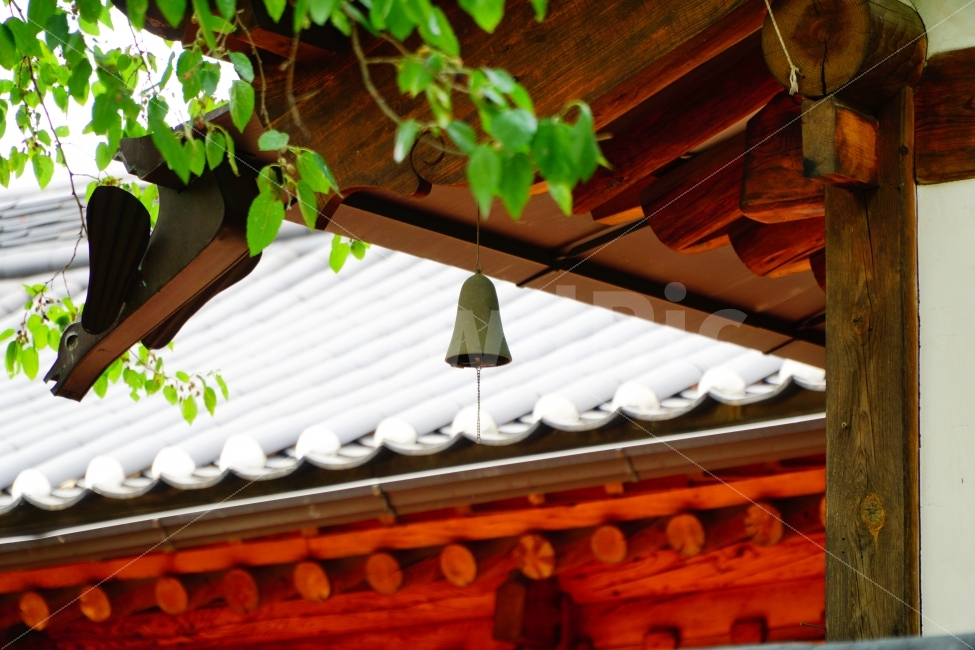 종,한옥,자연,한국,정물,건축물,건물외관,exterior,building,structure,architecture,construction,한국전통,한국문화,korean traditional,korean culture