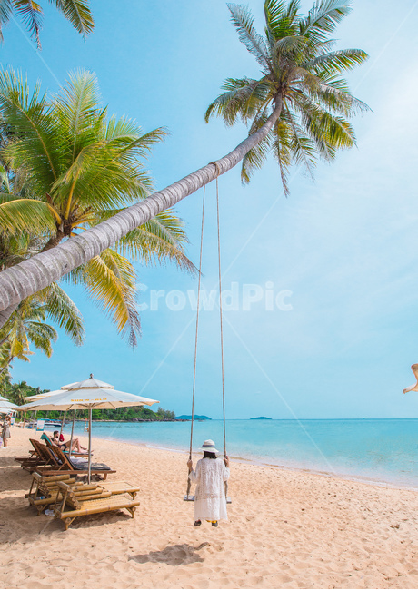 blue sky,back,Phu Quoc,palm tree,Beach,ocean,beach swing,Swing,blue ocean,pastel tone,Emotion
