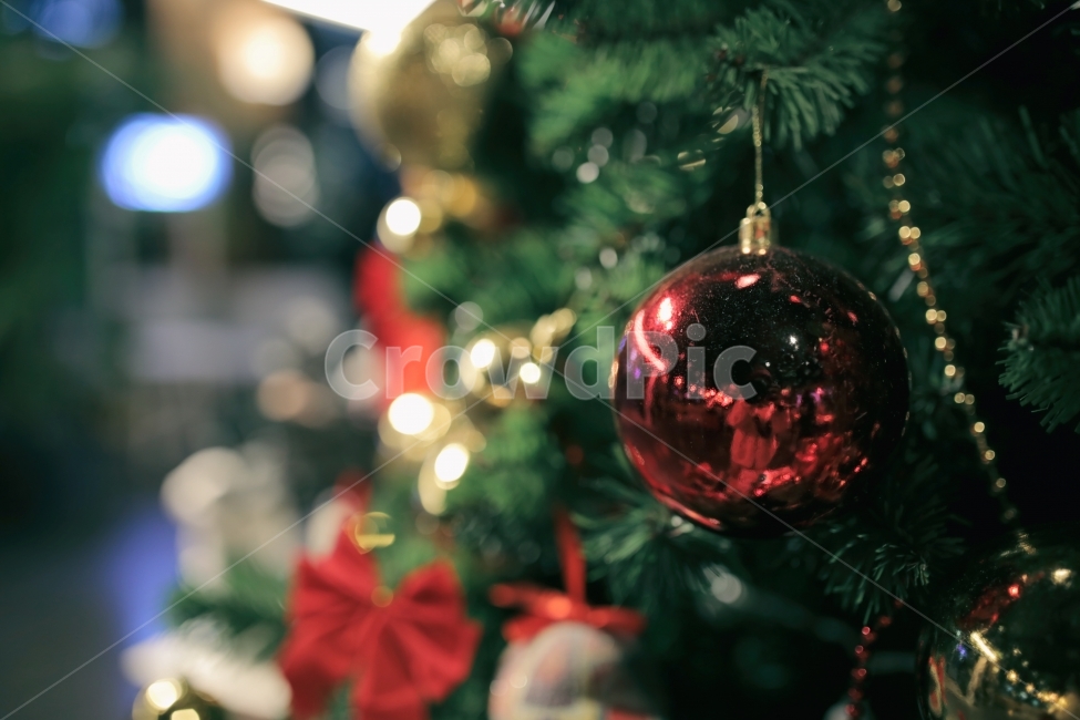 크리스마스,메리크리스마스,겨울,성탄절,merry,christmas,winter,snow,행운,제주,빨강,red,정열,열정,감성,감성사진,리본,장식,크리스마스장식,데코,데코레이션,겨울,계절,winter,season,기념일,축하,anniversary,congratulation,celebrate,celebration,메리크리스마스,성탄절,merry christmas,사물,물건,오브젝트,thing,object,matter