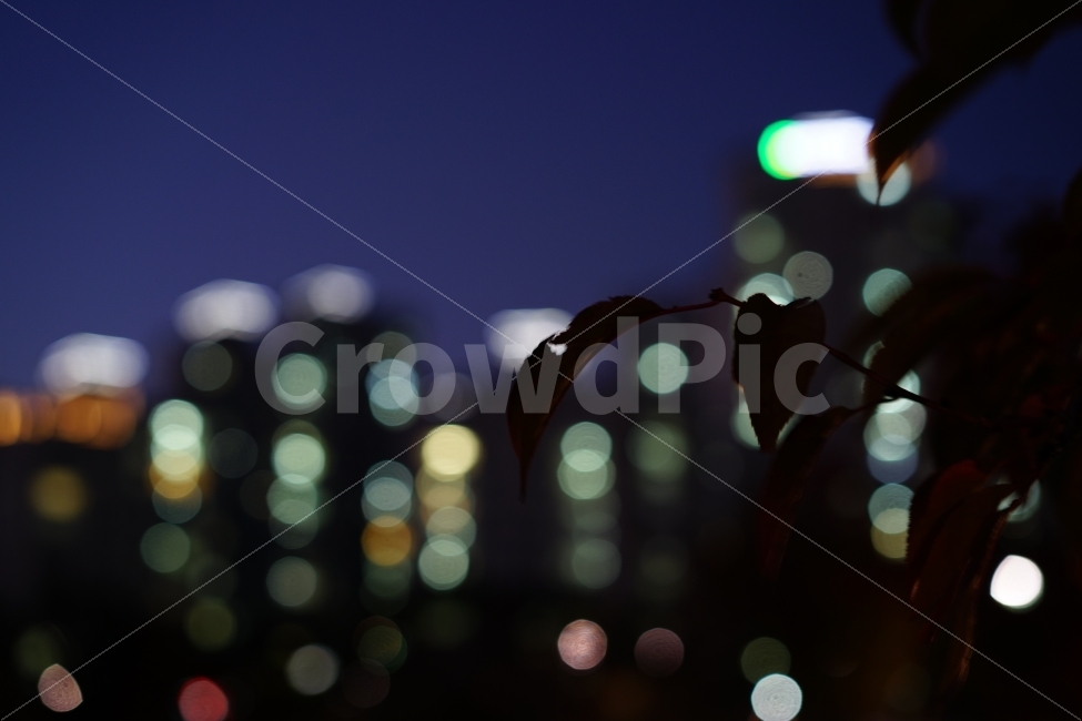 	야경,밤,조명,느낌,감성,감성사진,감성샷,분위기,무드,나이트,풍경,풍경사진,일상사진,일상,스냅사진,스냅,빛,야경,밤,풍경,nightscape,night,landscape,도시,city,감성,sensible,feeling