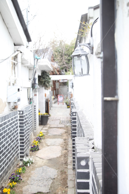 골목,건물,추억,아름다운,꽃,골목길,alley,road,도로,urban,어반,town,도시,city,시티,street,거리,building,alleyway