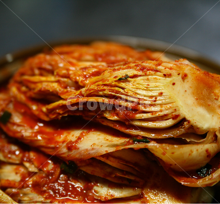 음식,김치,food,반찬,요리,아침,점심,저녘,한국음식,음식,식재료,요리,food,cook,meal,dishes,food reserves,한식,한국음식,한국요리,korean food,korean dishes,korean meal,korean cook