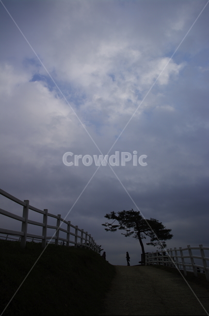 목장,울타리,하늘,나무,풍경,자연,풍경,nature,landscape,사람,인물,인간,human,person,handrail,난간,banister,railing