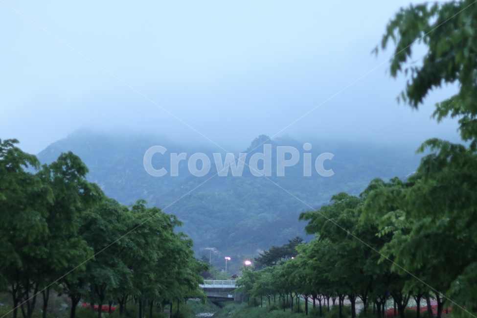 용봉산,비,구름,흐림,봄,자연,풍경,nature,landscape,한국자연풍경,한국자연경관,korea nature landscape,outdoors,옥외