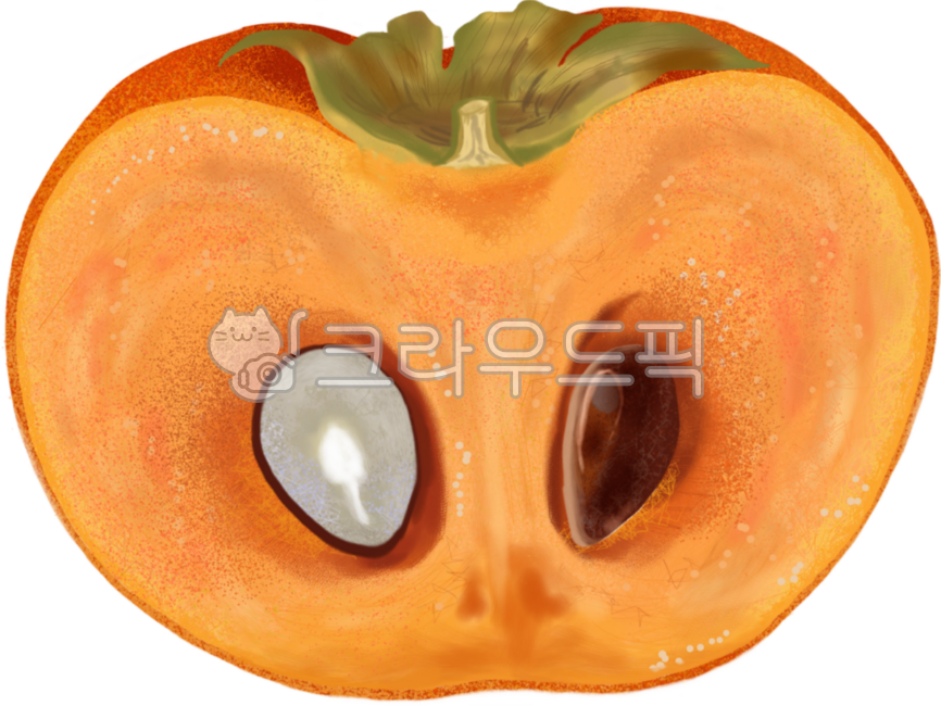 fruit, 감, 감단면, 감반쪽, 과일, 사진,이미지,일러스트,캘리그라피 - jina88작가
