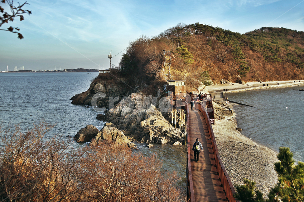 구봉도,대부도,안산시,서해,해솔길,아치교,개미허리