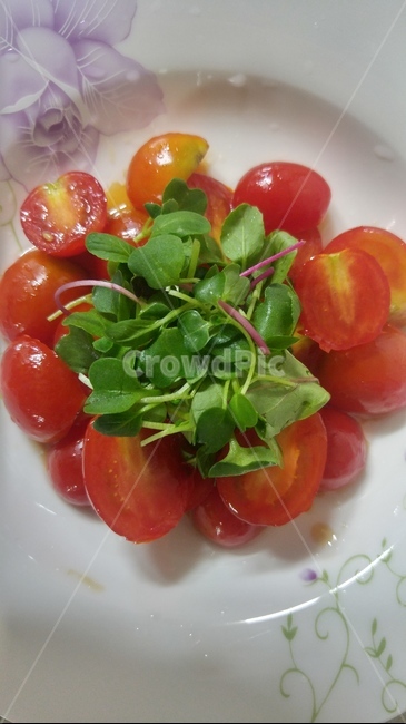 토마토,방울토마토,디저트,에피타이저,샐러드,음식,식재료,요리,food,cook,meal,dishes,food reserves,채소,야채,vegetables