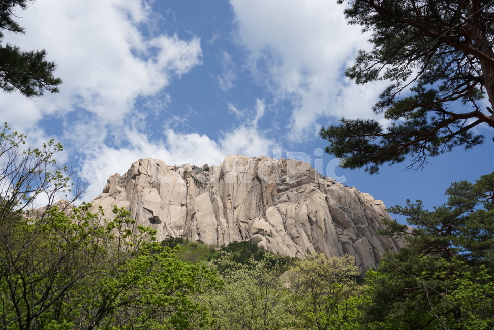 등산,나무,산,숲,hiking,cloud,sky,삼림,자연,수목,경관,힐링,초록,nature,설악산,울산바위,healing,refresh