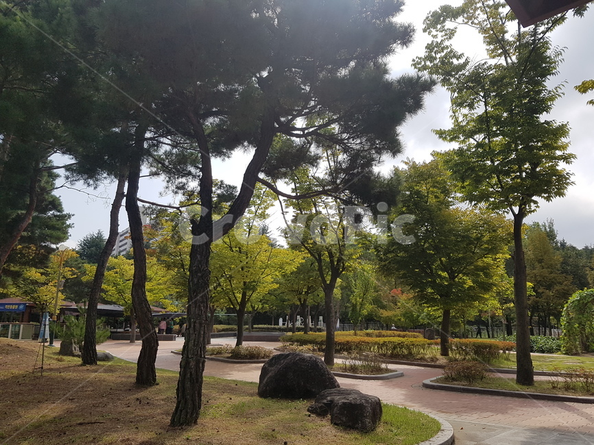 가을,공원,바위,하늘,햇살,자연,풍경,nature,landscape,tree,나무,plant,식물,tree trunk,나무 줄기