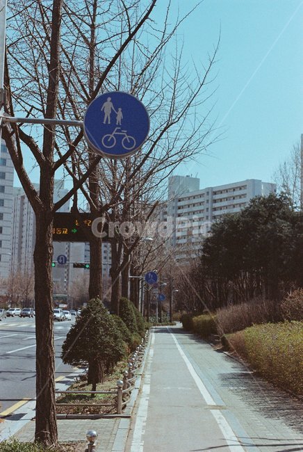 자전거도로,보행로,안내판,notification,하늘,빈티지,필름카메라,필름사진,레트로,감성