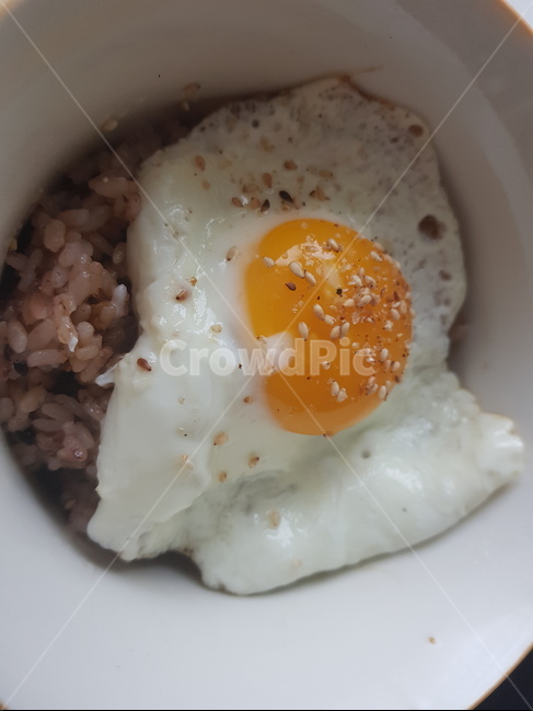달걀,계란,후라이,계란밥,혼밥