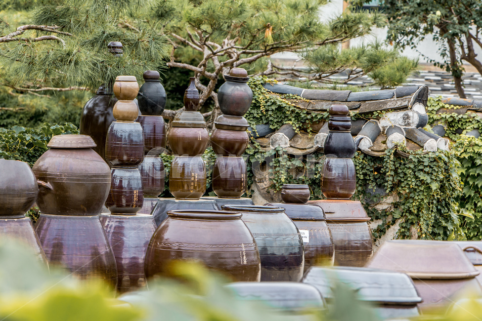 장독대,옹기,항아리,전통,문화,한국전통,한국문화,korean traditional,korean culture