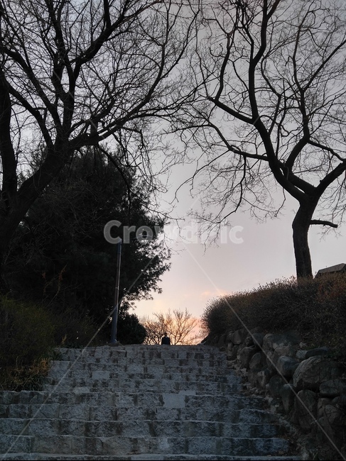 나무,성,하늘,계단,건물,빌딩,풍경,자연,풍경,nature,landscape,walkway,보도,path,통로,sidewalk,pavement,포장