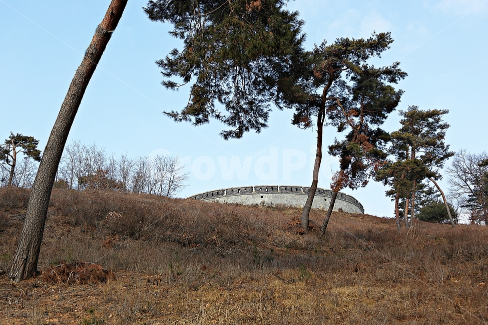 광성보,손돌목돈대,진,성곽,담,돌담,겨울,식물,자연,풍경