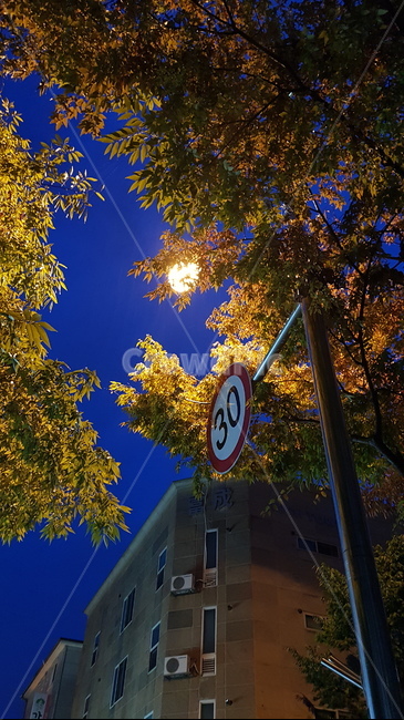 sky,하늘,나무,tree,비,rain,symbol,상징,빛,light
