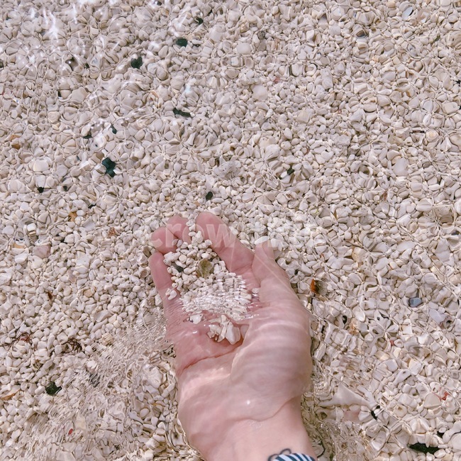 바다,맑음,투명,투명한비다,제주도,물,자갈,깨끗한바다