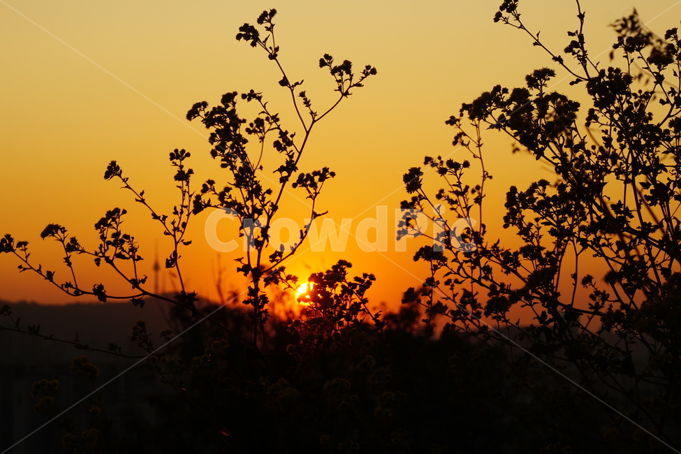 nature,자연,outdoors,옥외,sunset,redsky,황혼,하늘,sky,붉은하늘,햇빛,sunlight,서울노을,서울황혼,seoul,seoulsunset,orangeseoul,mountainseoul,서울산,산,해,sun,아파트