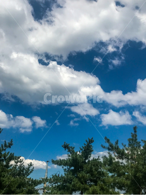 하늘,파란,푸른,파란하늘,맑은,맑은날,화창한,구름,blue,sky,뭉게구름,감성