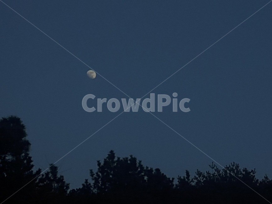 nature,자연,outdoors,옥외,달,moon