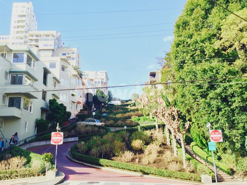 미국,도로,샌프란시스코,구불길,오르막길,내리막길,road,sanfrancisco,uphill,downhill,hill,언덕,차량,통행