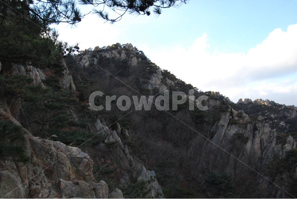 용봉산,홍성군,용바위,최영장군활터,문화유적,용봉사마애불,돌,산행,힐링,자연,감성,등산,계절,여행,한국,한국명산,한국등산,풍경,눈,나무,하늘,바람,바람소리,환경,생태계,산,땅,자연,풍경,nature,landscape,한국자연풍경,한국자연경관,korea nature landscape,outdoors,옥외,cliff,낭떠러지,tree,plant,식물