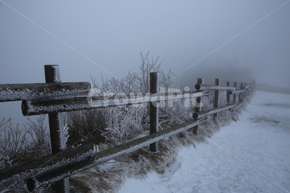 설천봉,설천봉의겨울,상고대,겨울,겨울풍경,덕유산국립공원,겨울,계절,winter,season,자연,풍경,nature,landscape,outdoors,옥외,snow,눈