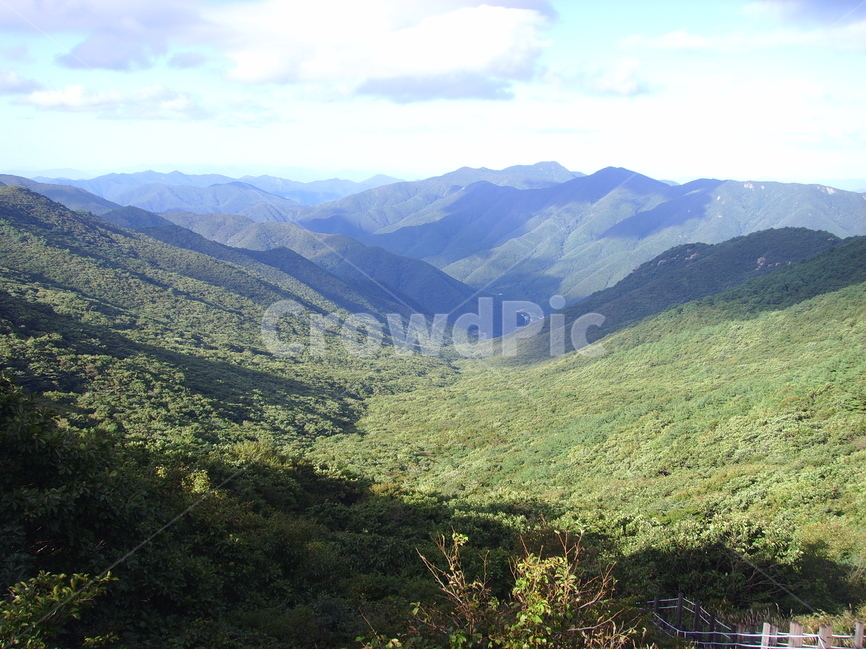 산,가을,가을산,영남알프스,갈대,신불산,영축산,가지산,구름,파란하늘,청명한하늘,자연,풍경,nature,landscape,한국자연풍경,한국자연경관,korea nature landscape,slope,경사,outdoors,옥외,mountain,mountain range,산맥
