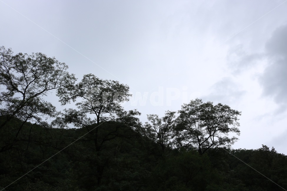 산,나무,하늘,구름,어둠,mountain,tree,sky,cloud,darkness,yama,ki,sora,kumo,yami,자연,풍경,nature,scenery,자연,풍경,nature,landscape,outdoors,옥외