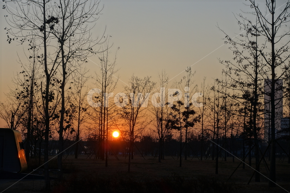 여의도,여의도일출,일출,해돋이,dawn,새벽,redsky,붉은하늘,nature,자연,outdoors,옥외,sky,하늘,겨울,잔가지