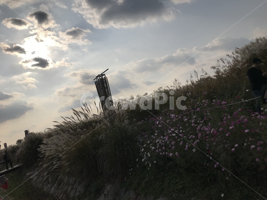nature,자연,옥외,outdoors,인간