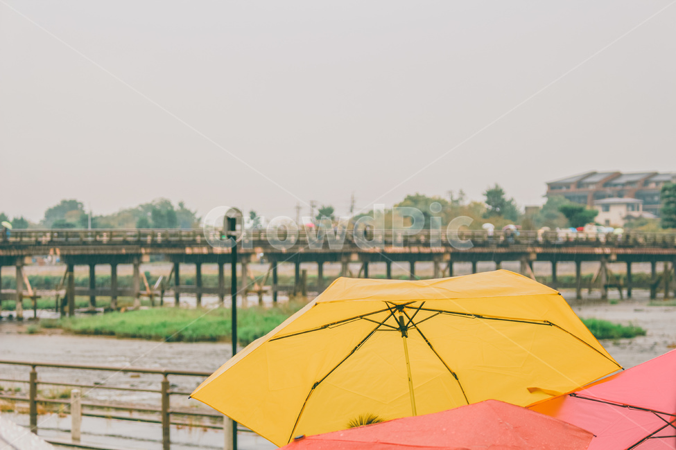감성사진,감성,색감,비오는날,우산,colorsense,풍경,landscape,감성,sensible,feeling,색깔,색상,색채,색감,color sense,color sensitivity,feeling of color,비,비오는날,rain,rainy