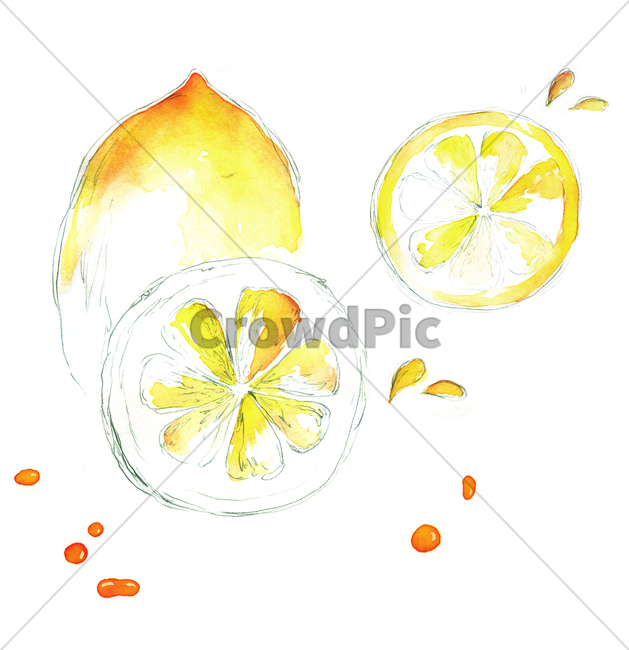 손그림,물감그림,handdrawing,watercolor,lemon,레몬