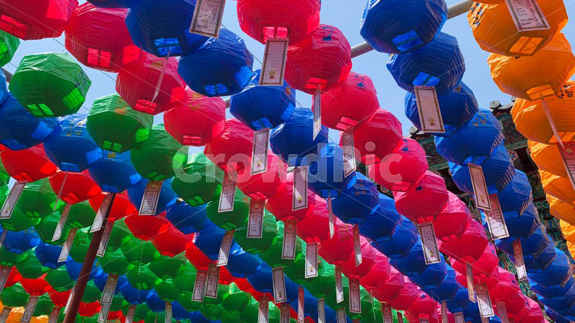 향일암,불교,계단,temple,등