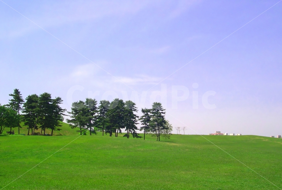올림픽공원,나무,잔디밭,풍경,언덕,잔디,공원,자연,풍경,nature,landscape,grass,plant,식물,lawn