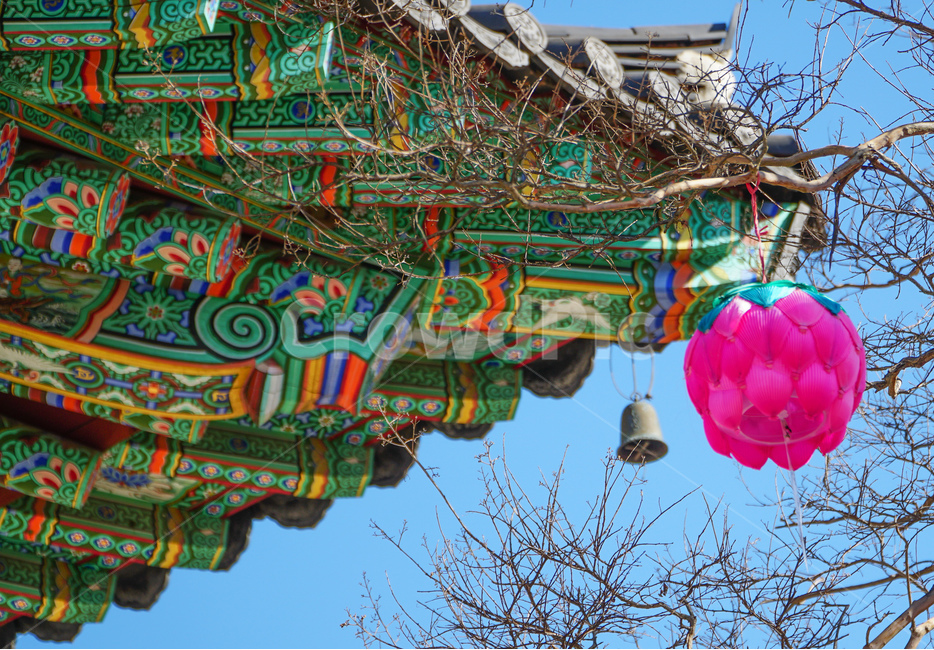 한국의절,연꽃,풍경,koreantemple,고찰,종교,신앙,religion,belief,faith