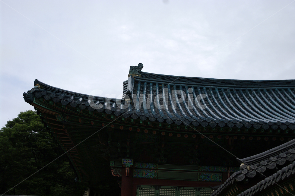 선정전,청기와,창덕궁,고궁,한옥,전통가옥,기와지붕,건축,traditional,한국전통,한국문화,korean traditional,korean culture,건축물,건물외관,exterior,building,structure,architecture,construction