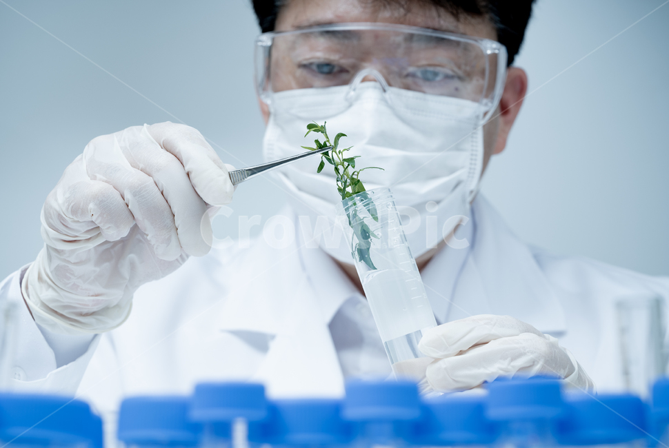 medical,biotechnology,education,lab,Asian,one person,fixtures,experiment,supplies,study room,development,researcher,biology,test,equipment,analysis,Japanese,tube,laboratory,background,science,plant,pharmacy,male,scientist,concept,botany,specimen,examinati