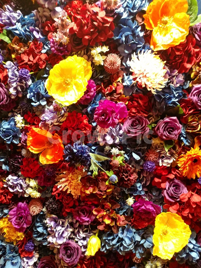 꽃,꽃다발,꽃배경,꽃밭,꽃모음,식물,자연,plants,nature,꽃,flower