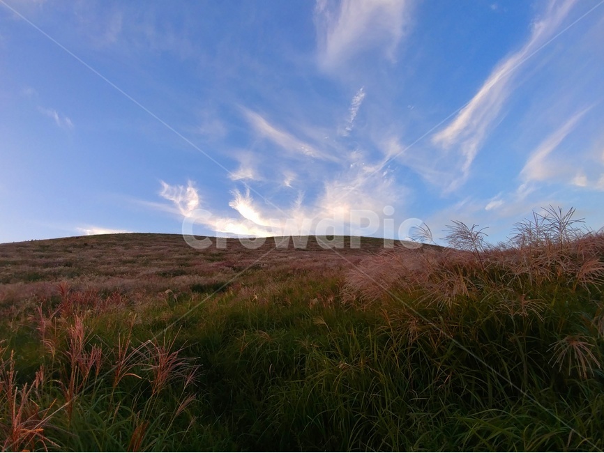 하늘,구름,풍경,감성,제주풍경,자연,자연,풍경,nature,landscape,field,들,outdoors,옥외,grassland,목초지